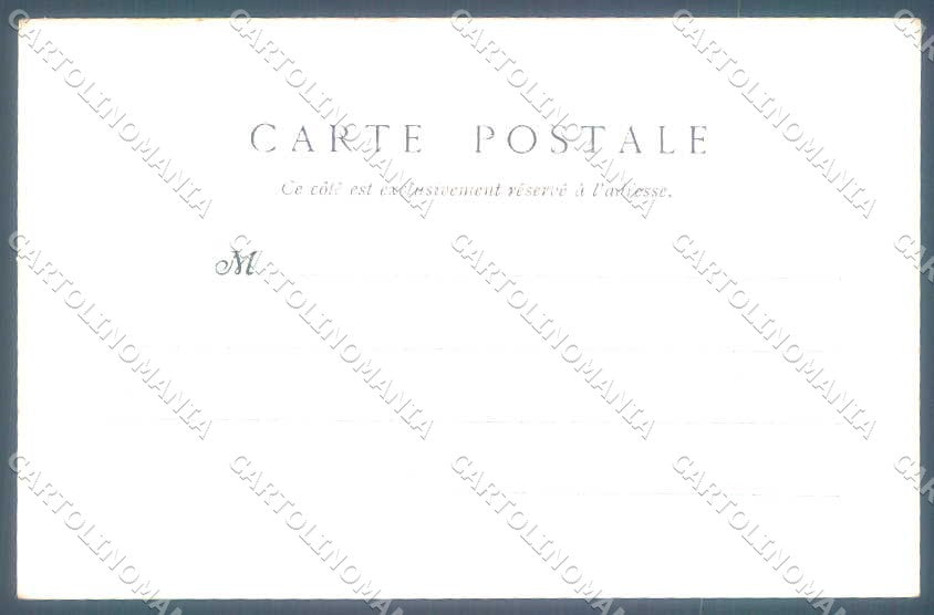 Animali Dog Cane Black Cocker Petit Epagneul postcard VK9511 – retro