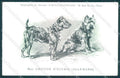 Animali Dog Cane Griffon Ecurie Allemand postcard VK9513 – fronte