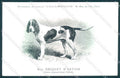 Animali Dog Cane Briquet Artois Hound postcard VK9520 – fronte