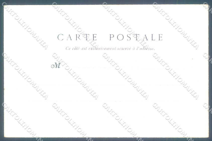 Animali Dog Cane Bleu de Gascogne postcard VK9522 – retro