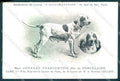Animali Dog Cane Courant Francais Porcelaine postcard VK9525 – fronte