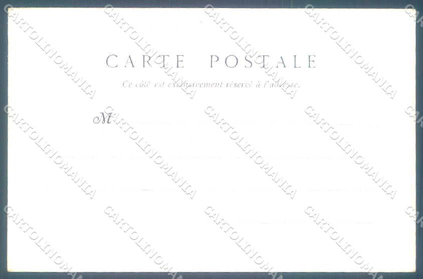 Animali Dog Cane Setter Anglais English Blue Belton postcard VK9528 – retro