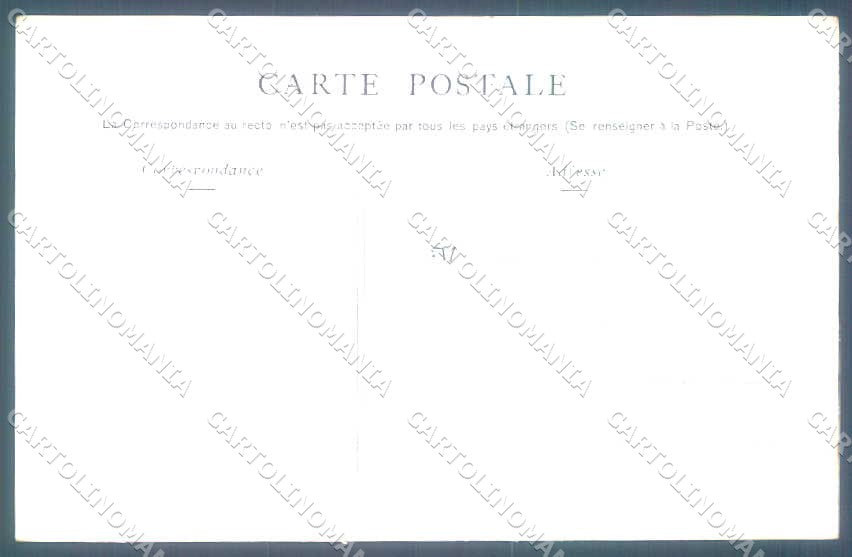 Animali Dog Cane Epagneul de Pont Audemer postcard VK9536 – retro