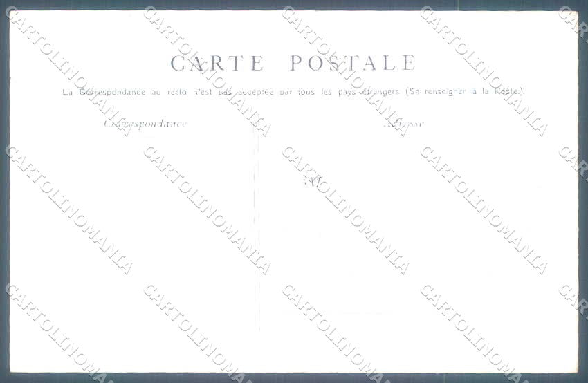 Animali Dog Cane Dingo Aurtralia postcard VK9540 – retro