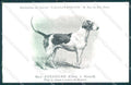 Animali Dog Cane English Foxhound Chien Renard postcard VK9541 – fronte