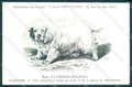 Animali Dog Cane Clumber Spaniel postcard VK9542 – fronte