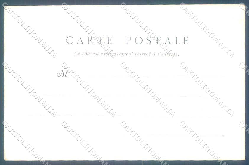 Animali Dog Cane Braque de Ariege Pointer postcard VK9544 – retro