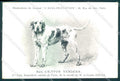 Animali Dog Cane Griffon Vendeen Briquet postcard VK9545 – fronte