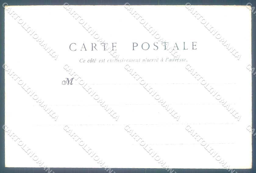 Animali Dog Cane Griffon Vendeen Briquet postcard VK9545 – retro