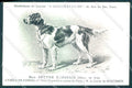 Animali Dog Cane Setter Ecossais Setter Gordon postcard VK9550 – fronte