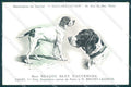 Animali Dog Cane Braque Bleu Auvergne Bracco postcard VK9552 – fronte