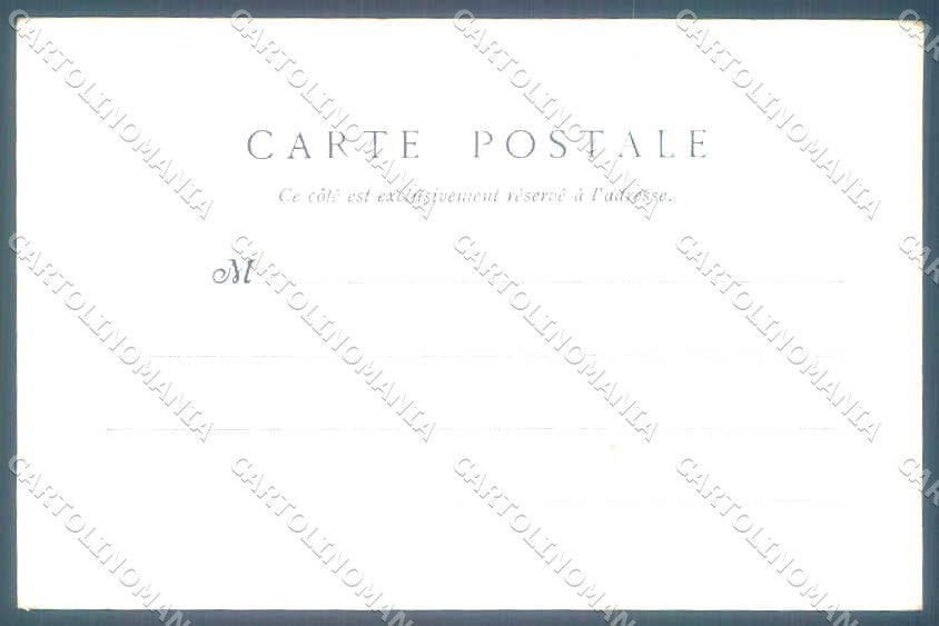 Animali Dog Cane Braque Bleu Auvergne Bracco postcard VK9552 – retro