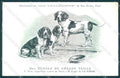 Animali Dog Cane Beagle de Grande Taille postcard VK9553 – fronte