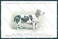 Animali Dog Cane Basset Artois Norman Artesian postcard VK9554 – fronte