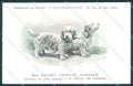 Animali Dog Cane Basset Griffon Vendeen postcard VK9555 – fronte
