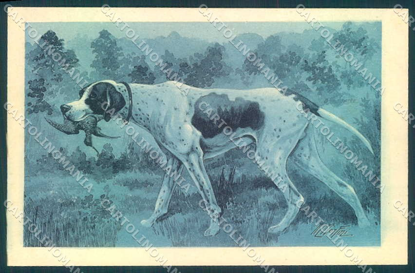 Artist Signed Norfini Pointer Snipe Hunting Dog serie 60764 3846 postcard VK9566 – fronte