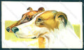 Artist Signed Norfini Greyhound Borzoi Hunting Dog postcard VK9570 – fronte