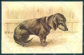 Artist Signed Dachshund Bassotto Relief postcard VK9573 – fronte