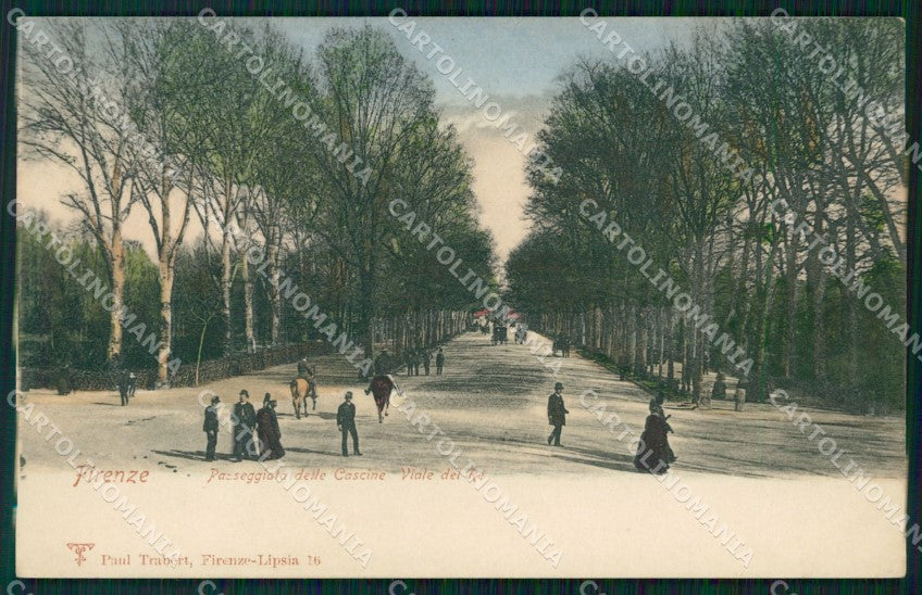 Firenze Città Cascine Viale del Re cartolina WX0165 – fronte