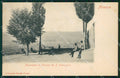 Firenze Pelago San Francesco cartolina WX0244 – fronte
