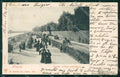 Firenze Città Cascine Viale della Regina Carrozze cartolina WX0271 – fronte