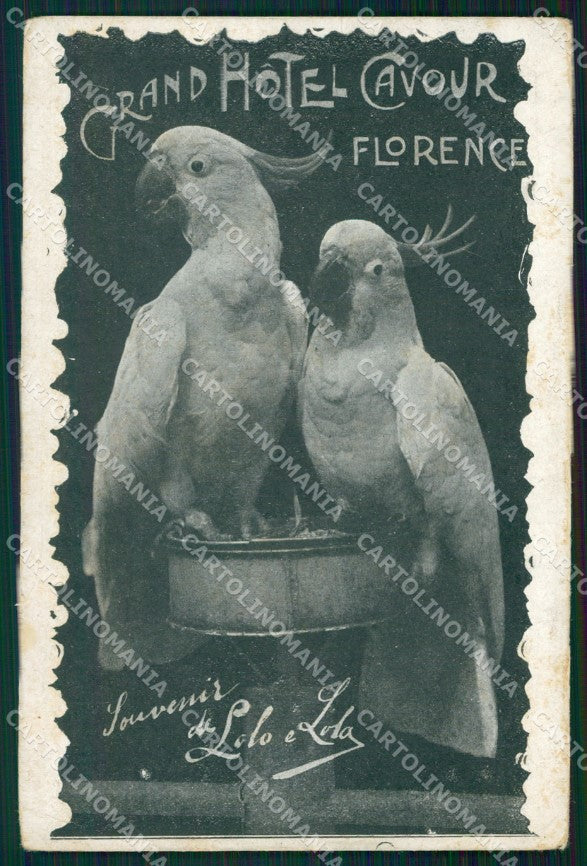 Firenze Città Grand Hotel Cavour Pappagalli STRAPPINI PIEGA cartolina WX0708 – fronte
