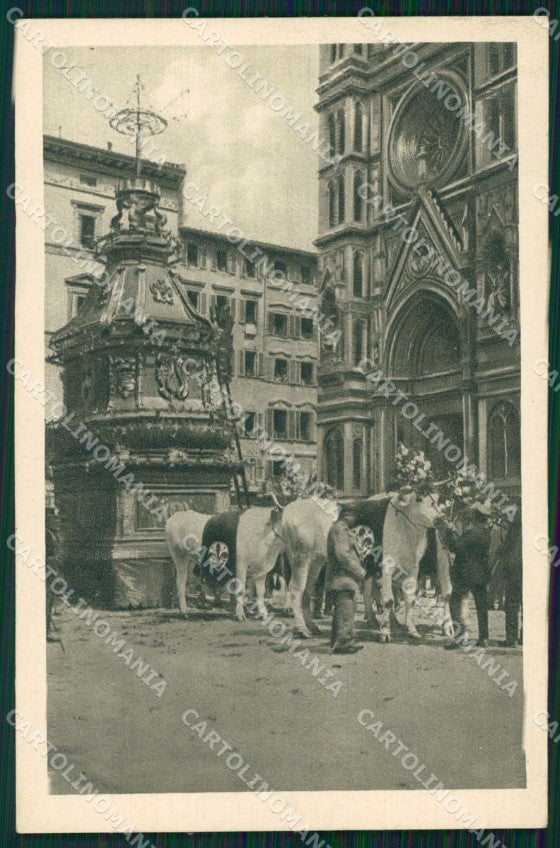Firenze Città Carro Sabato Santo Buoi cartolina WX0881 – fronte