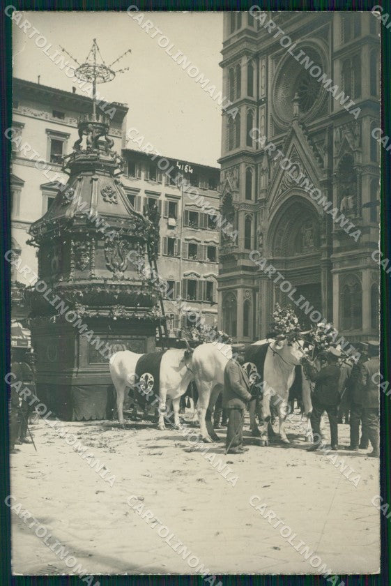 Firenze Città Carro Sabato Santo Buoi Foto cartolina WX0903 – fronte