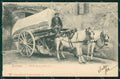 Firenze Città Carro Trasporto Vino Fiaschi cartolina WX0978 – fronte