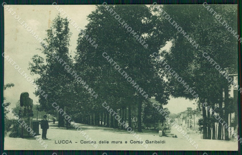 Lucca Città Le Mura cartolina WX1081 – fronte