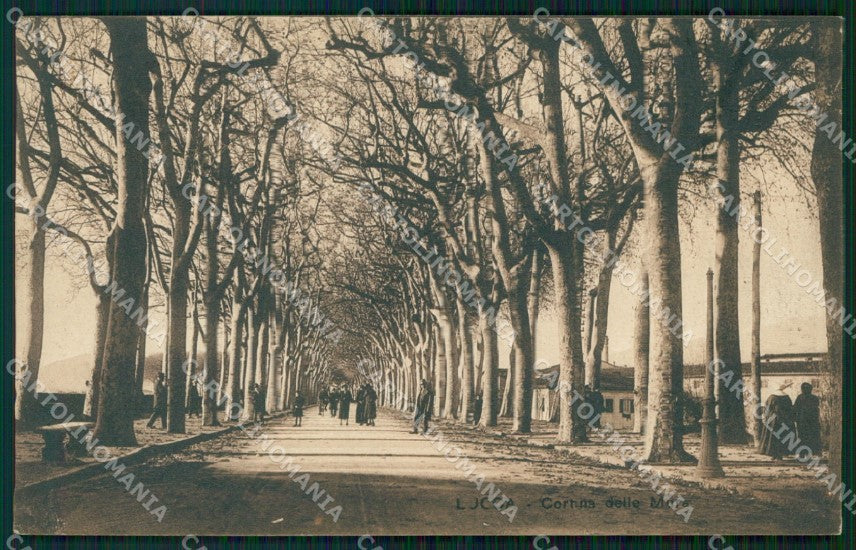Lucca Città Le Mura cartolina WX1083 – fronte