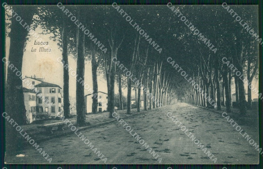 Lucca Città Le Mura cartolina WX1088 – fronte