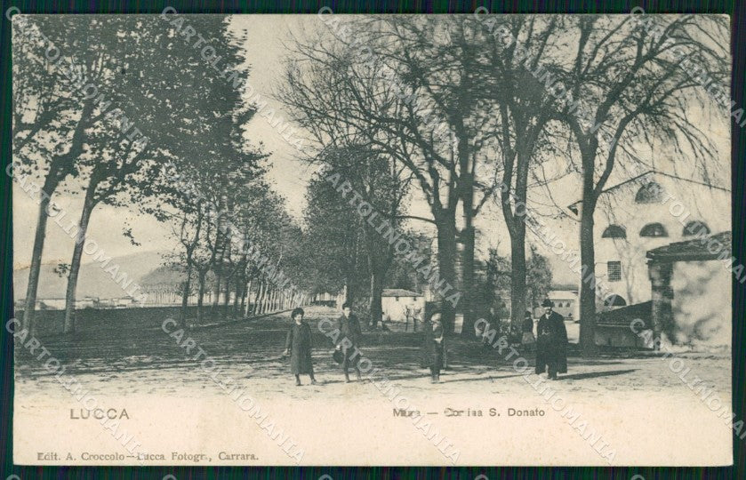 Lucca Città Le Mura cartolina WX1103 – fronte