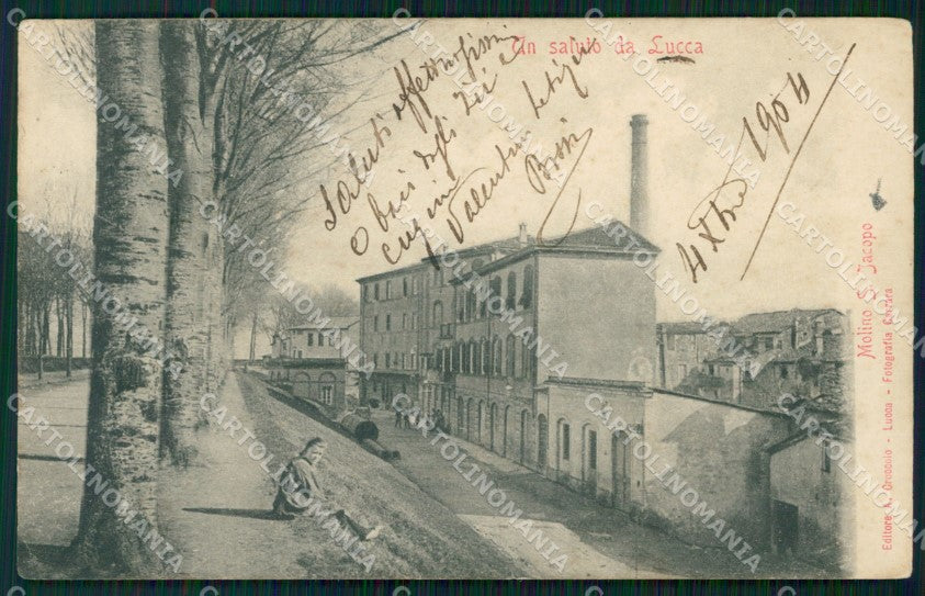 Lucca Città Molino San Jacopo cartolina WX1113 – fronte