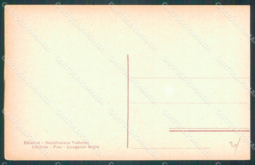 Pisa Città Lungarno Regio cartolina WX1138 – retro