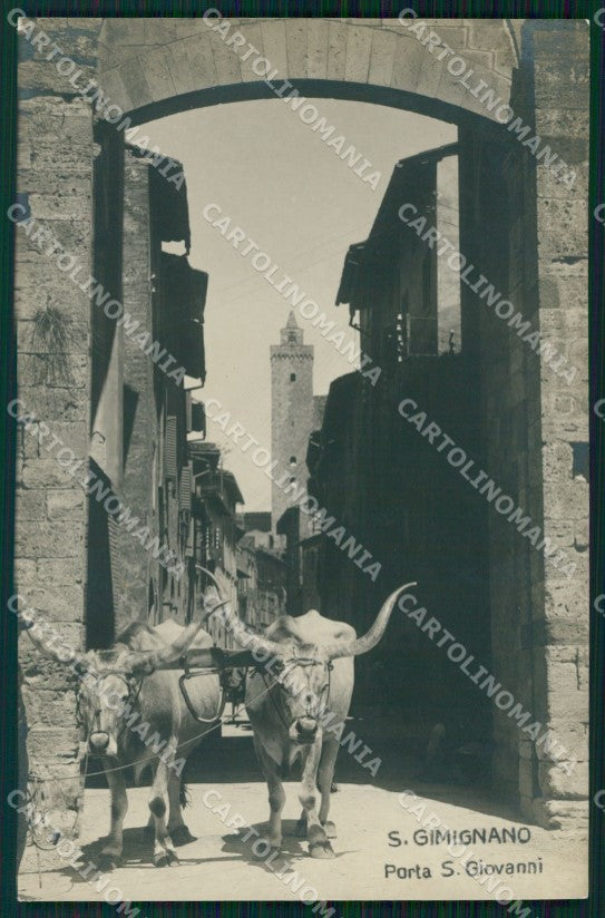 Siena San Gimignano Porta San Giovanni Buoi Foto cartolina WX1324 – fronte