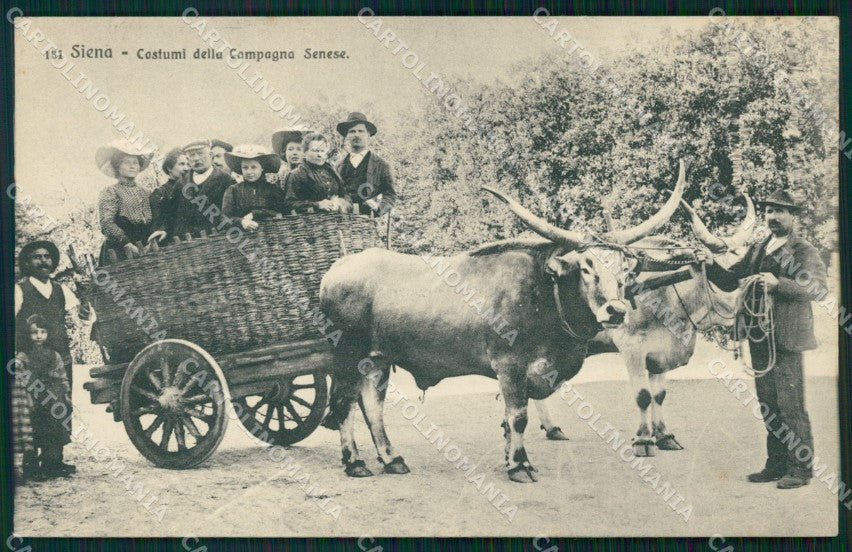 Siena Città Costumi Carro con Buoi cartolina WX1331 – fronte