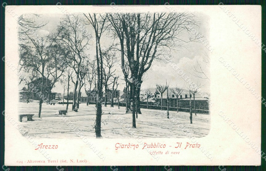 Arezzo Città Giardino Pubblico Nevicata Alterocca 624 cartolina WX1377 – fronte
