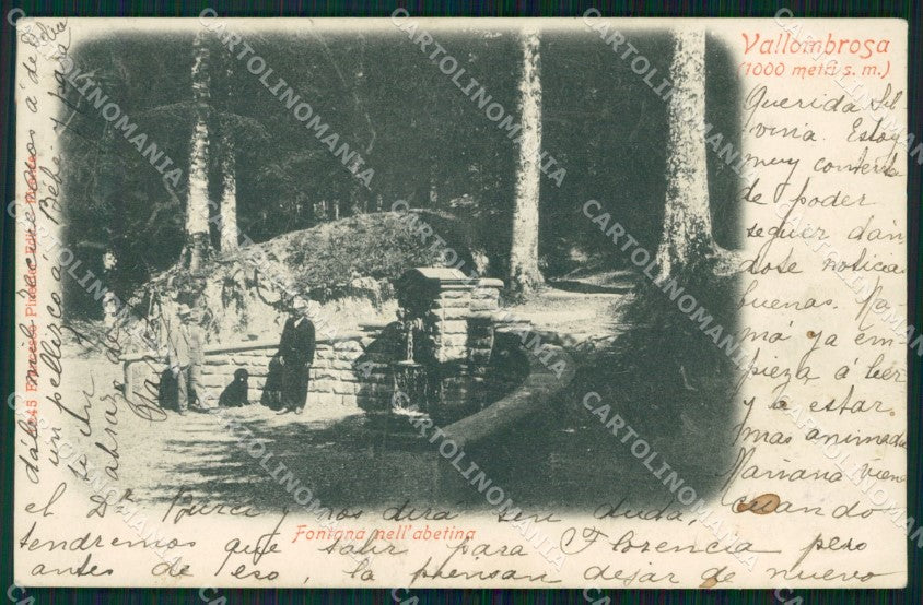 Firenze Reggello Vallombrosa cartolina WX1463 – fronte