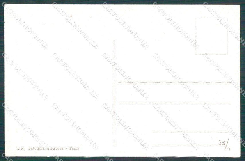 Firenze Reggello Vallombrosa Trasporto Abeti Buoi cartolina WX1468 – retro