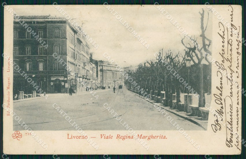 Livorno Città Viale Regina Margherita cartolina WX1484 – fronte