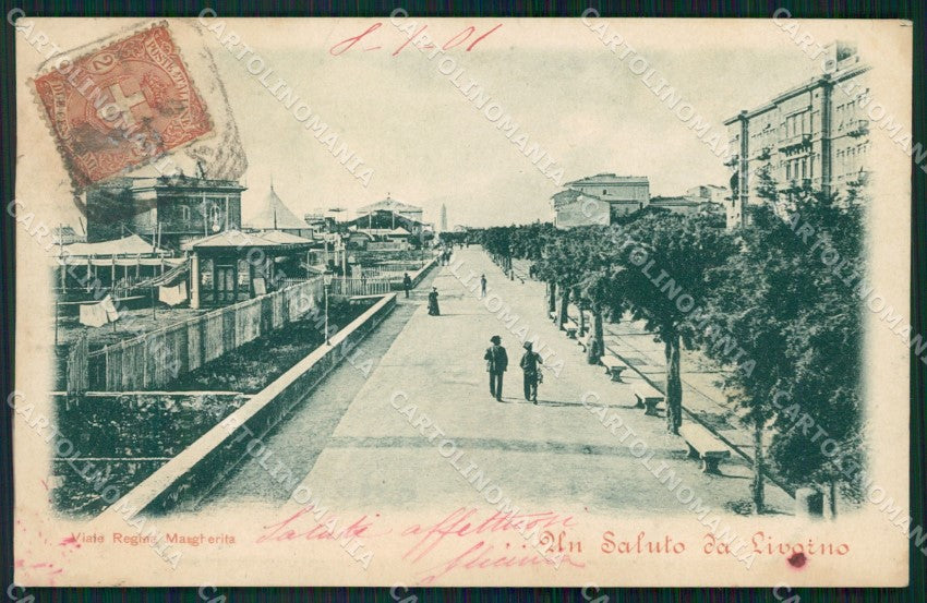 Livorno Città Viale Regina Margherita SCOLLATA cartolina WX1489 – fronte
