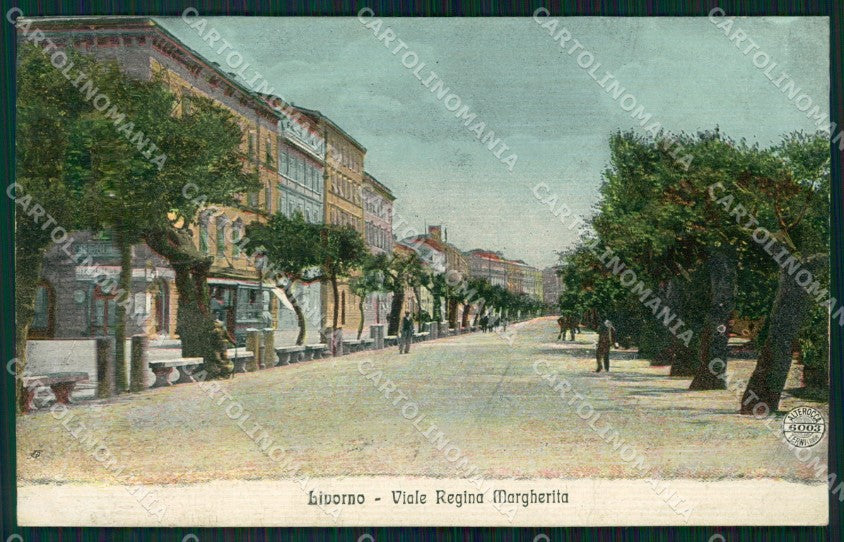 Livorno Città Viale Regina Margherita Alterocca 6003 cartolina WX1496 – fronte