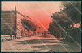 Livorno Città Viale Regina Margherita cartolina WX1499 – fronte