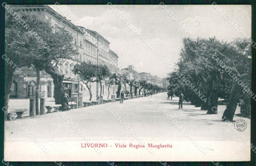 Livorno Città Viale Regina Margherita Alterocca 6003 cartolina WX1530 – fronte
