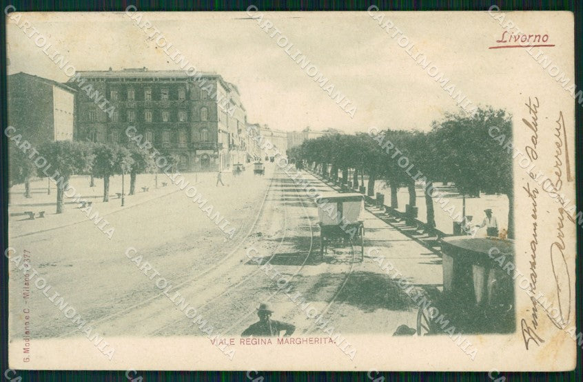 Livorno Città Viale Regina Margherita Carrozza PIEGHE cartolina WX1551 – fronte