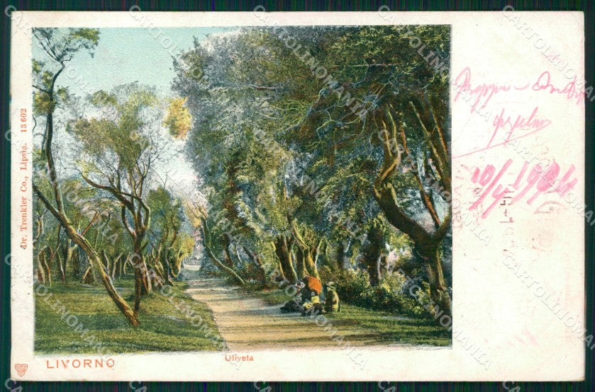 Livorno Città Uliveta cartolina WX1590 – fronte