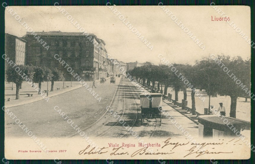 Livorno Città Viale Regina Margherita Carrozza cartolina WX1624 – fronte