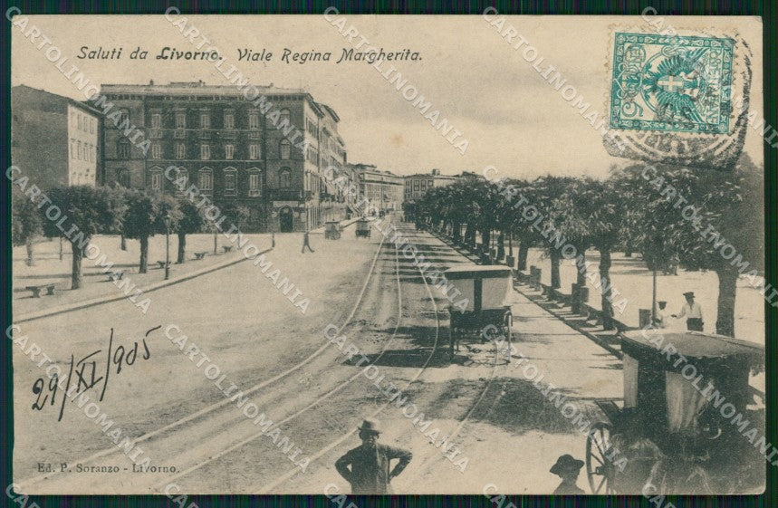 Livorno Città Viale Regina Margherita STRAPPINO cartolina WX1705 – fronte