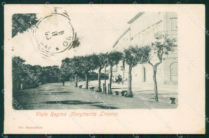 Livorno Città Viale Regina Margherita cartolina WX1723 – fronte